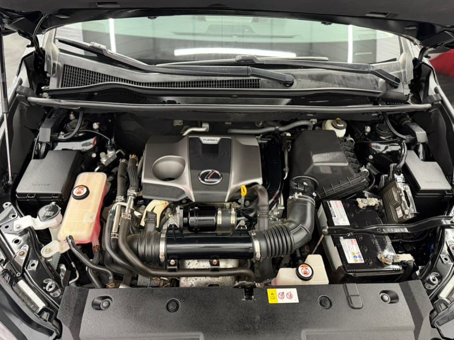 2018 Lexus NX